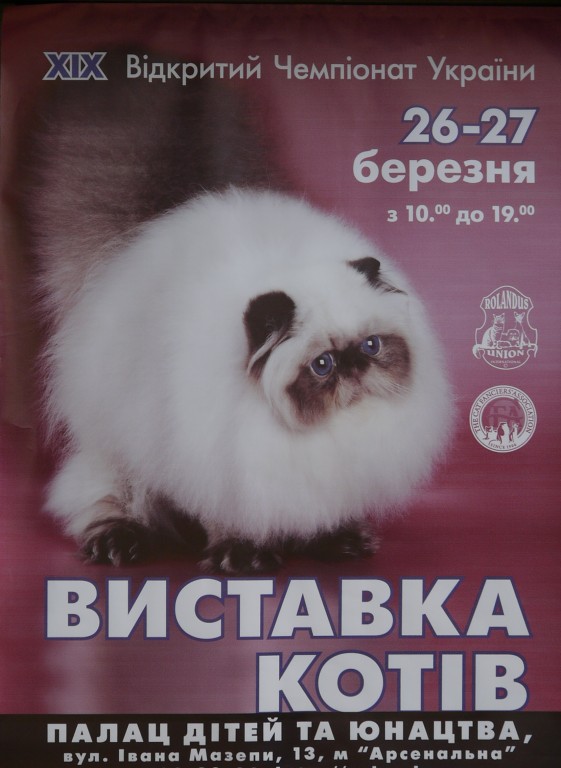 Безымянный 0.jpg