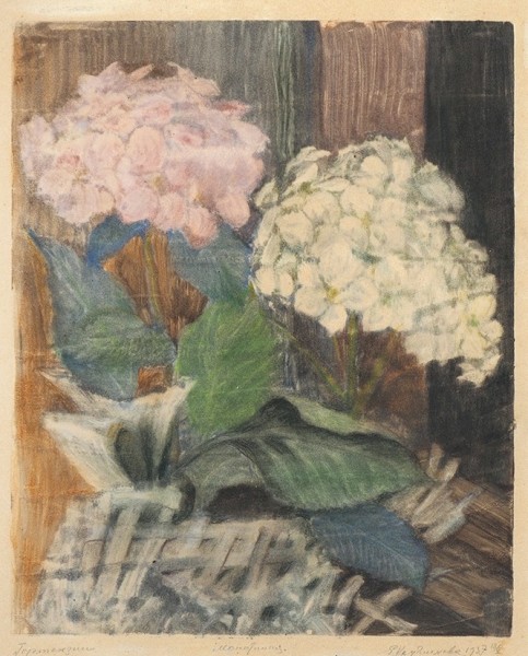 Кругликова_Гортензии_1937.jpg