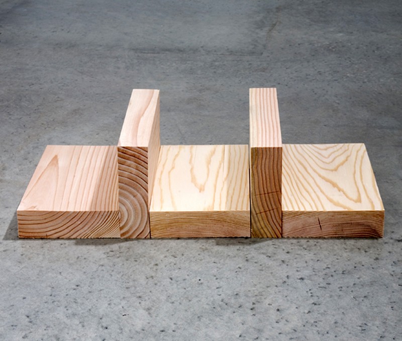 андрэ минимализмdouglas-fir-mini-rank.jpg