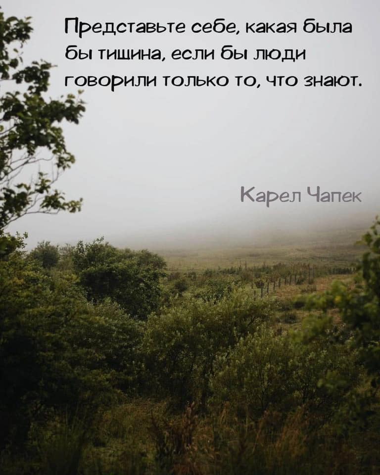 если б люди говорили только то что знают.jpg