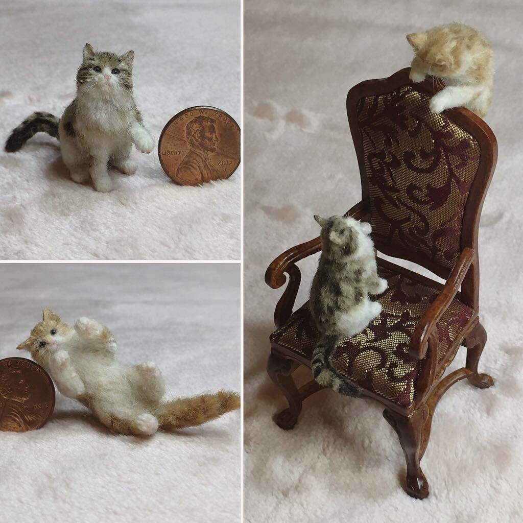 кош6.jpg