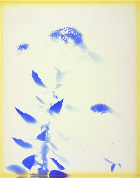 лурдес кастроtrachelium-caeruleum-1972.jpg!Large.jpg