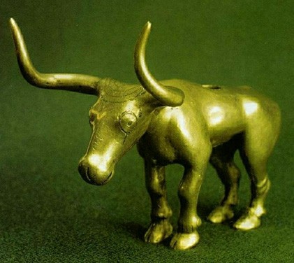майbull.jpg