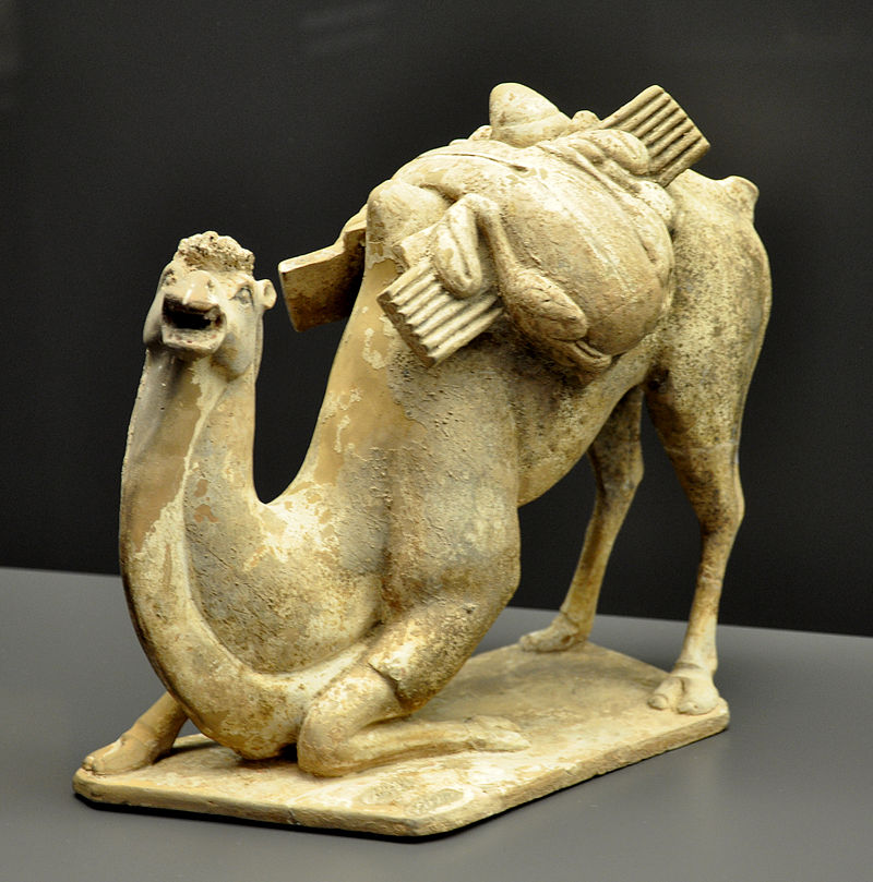 суйKamel_Museum_Rietberg_RCH_550.jpg