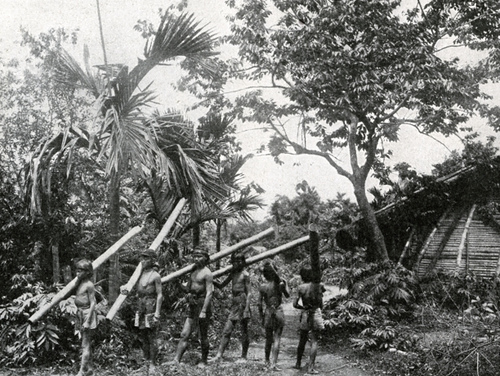 тайAboriginescarrybambooinTaiwan.jpg