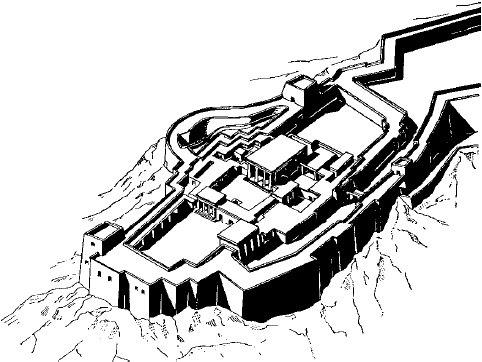 тиртнф_037.png