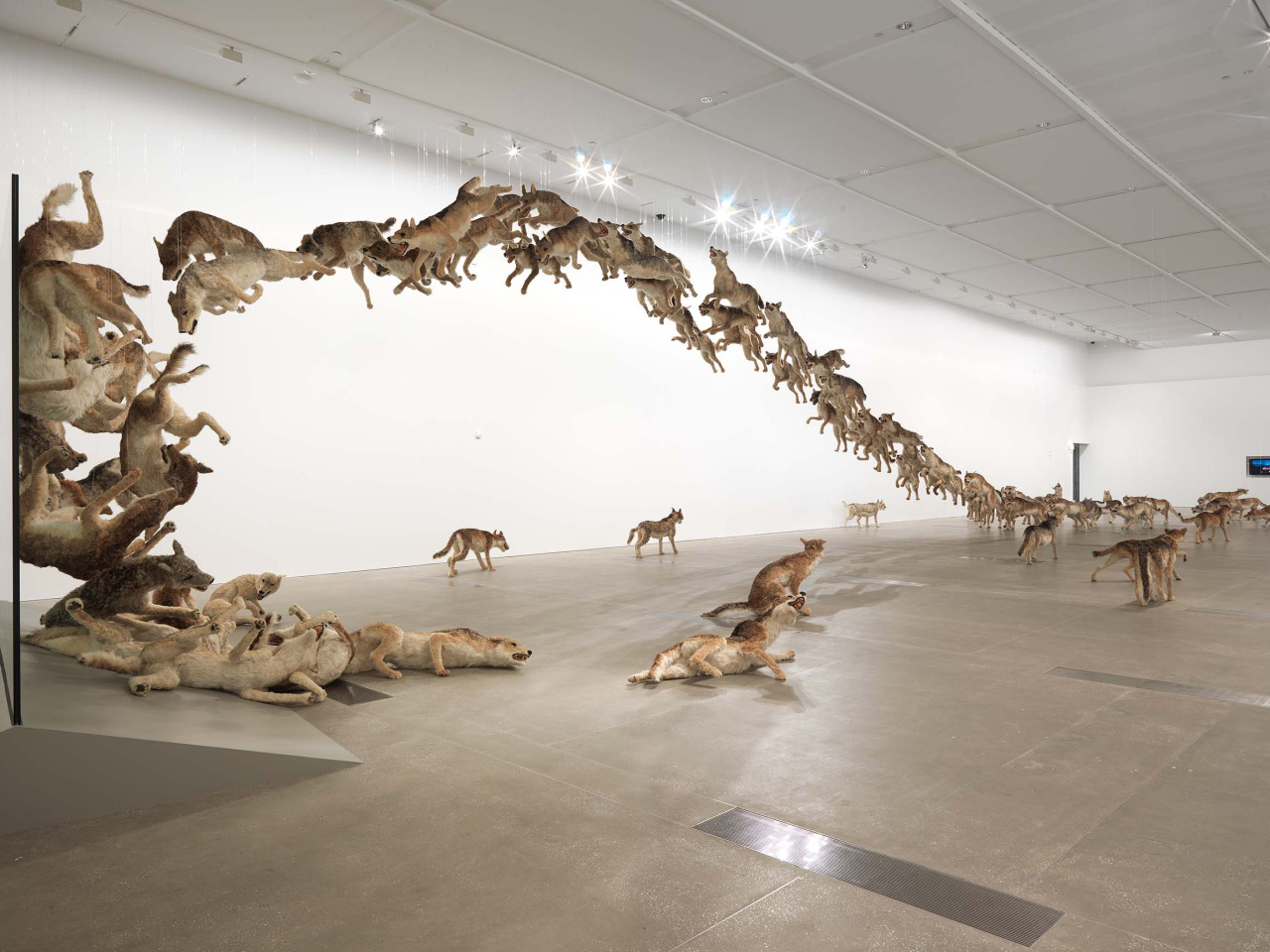 цай гоцян Инсталляция_Cai-Guo-Qiang_Head-on_03.jpg
