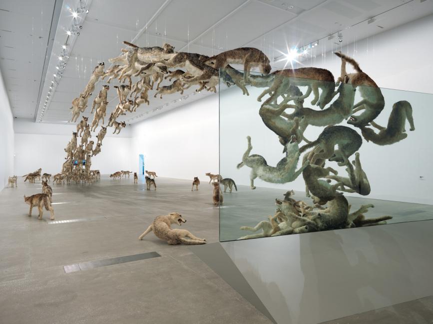цай гоцян2013_HeadOn_A1237_qagoma_nh_002_h.jpg
