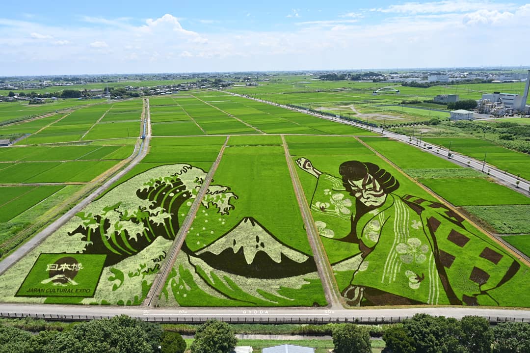 яп gyoda-rice-paddy-art-2021.jpg