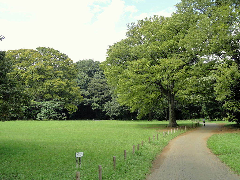 1024px-Meiji_Shrine_-_DSC04987.jpg