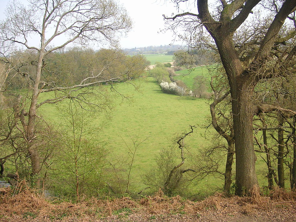 1024px-Painshill_Park_014_Watermeadow.JPG