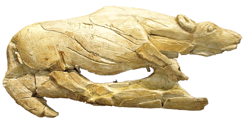 1024px-Propulseur_hyène_rampante_-_La_Madeleine_-_Tursac_-_MNP.png