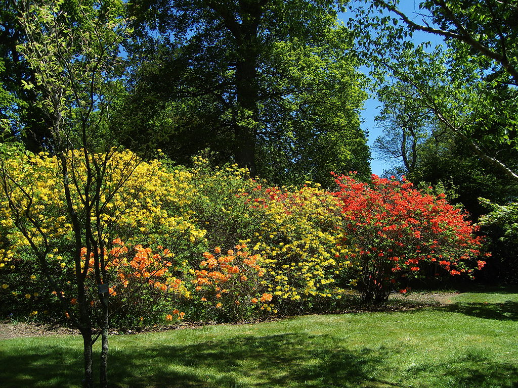 1024px-Sheffield_Park_Garden07.JPG