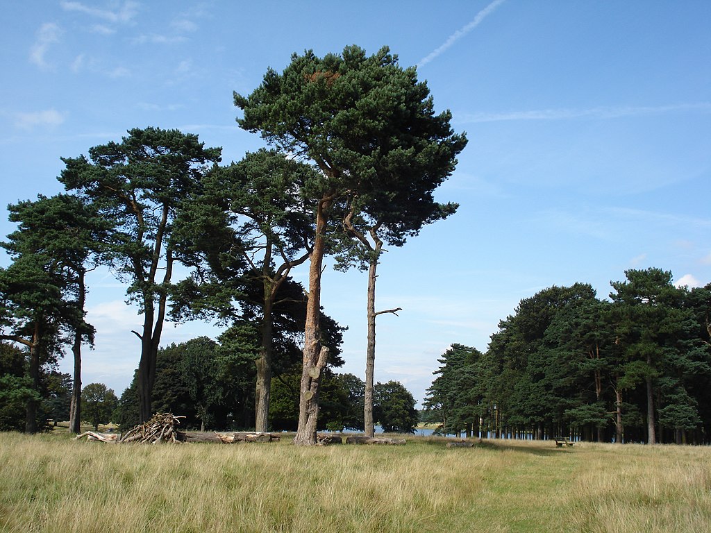 1024px-Tatton_Park_-_panoramio.jpg
