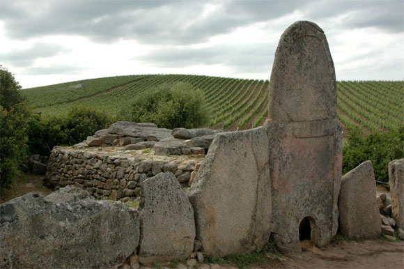 116.jpg