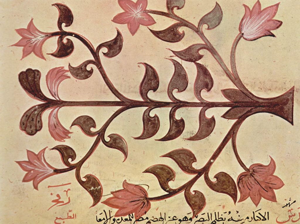 1229Arabischer_Maler_des_Kräuterbuchs_des_Dioskurides_002.jpg