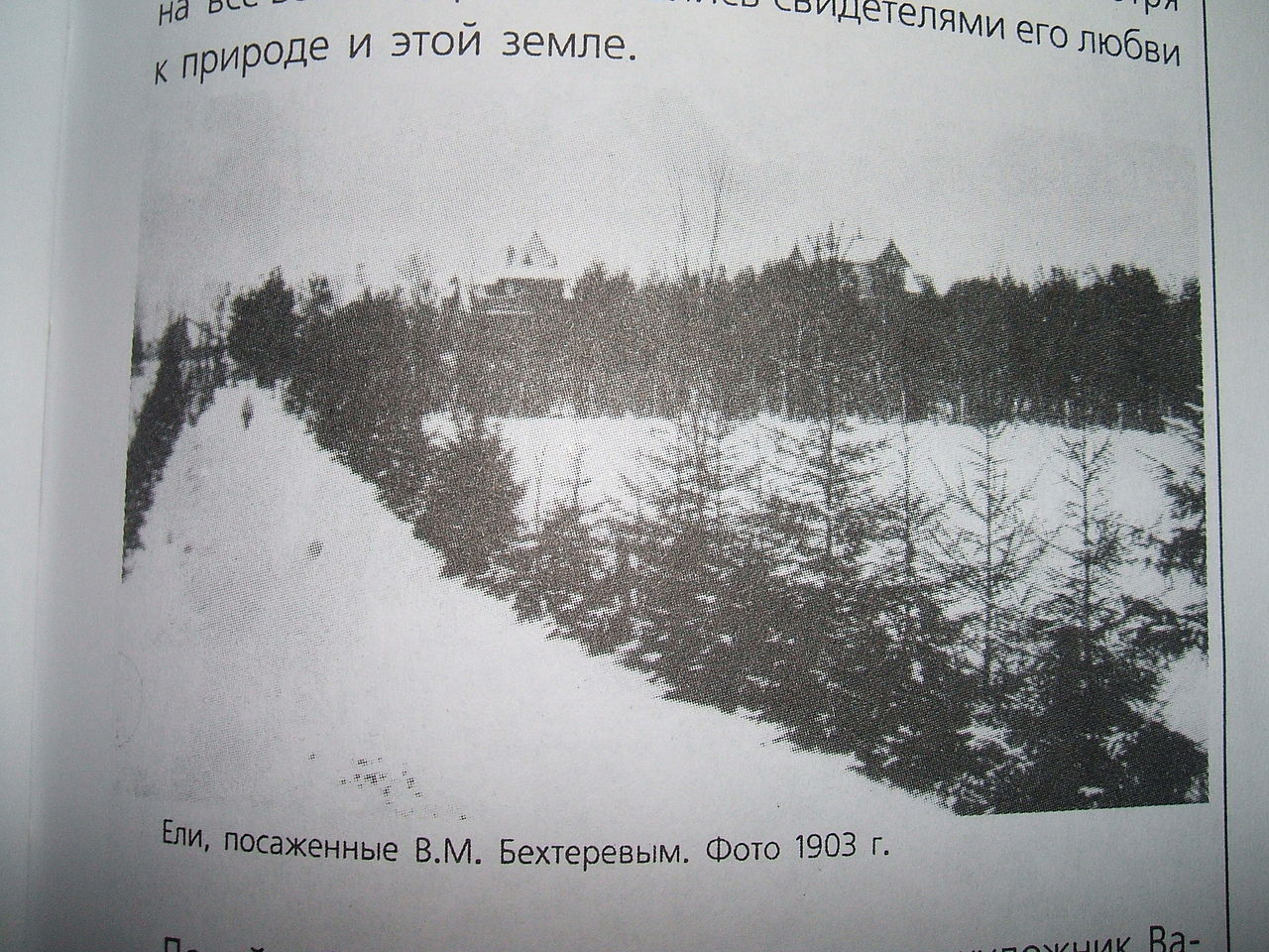 1280px-Бехтерев3.jpg