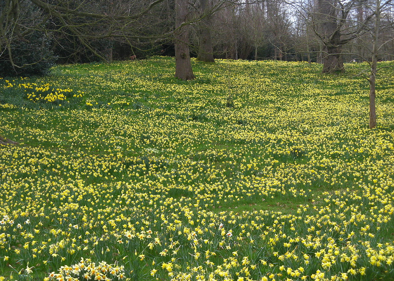1280px-20080323_Petworth_House_(6).jpg