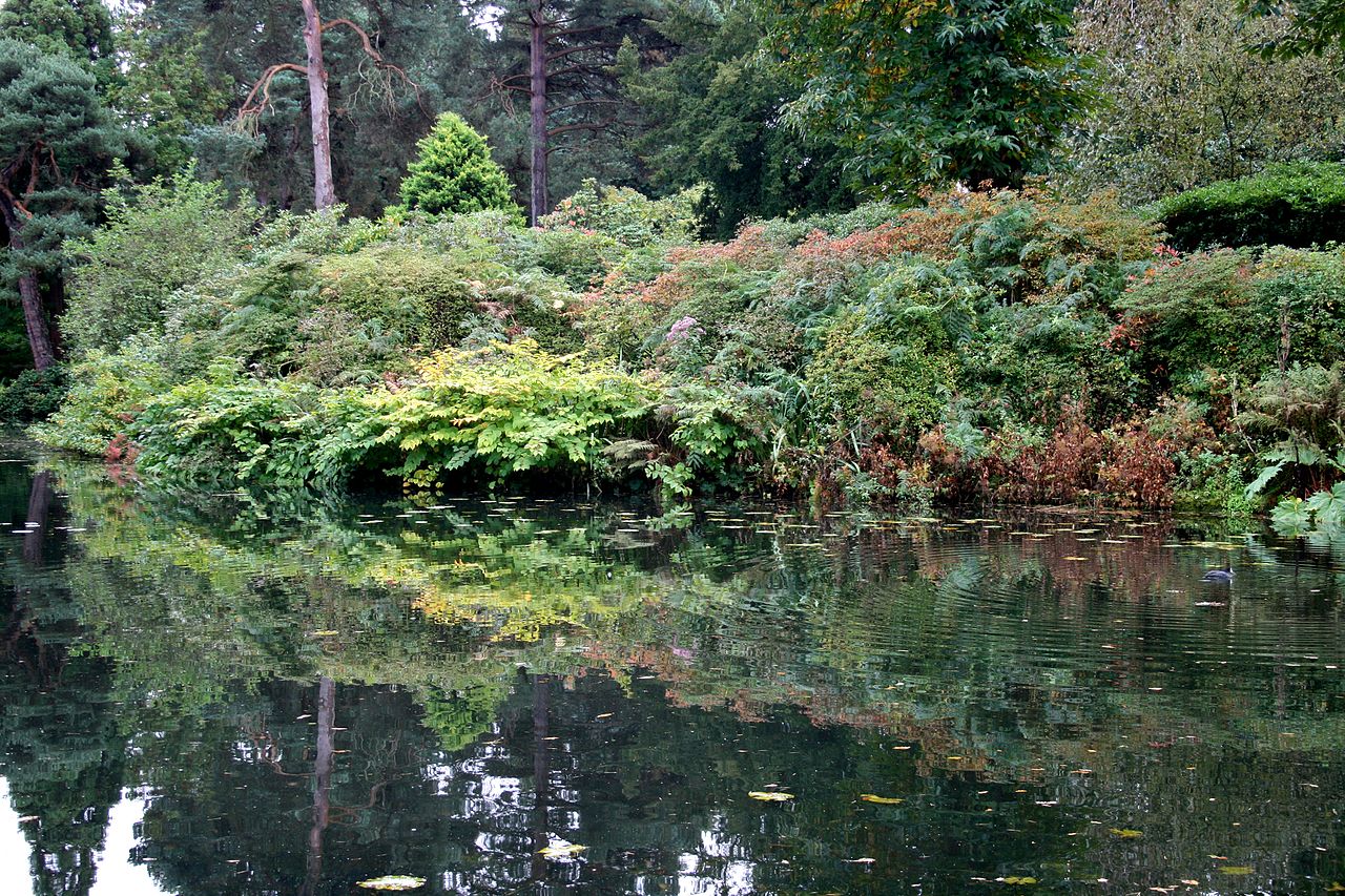 1280px-Pond_at_Tatton_Park_1.jpg