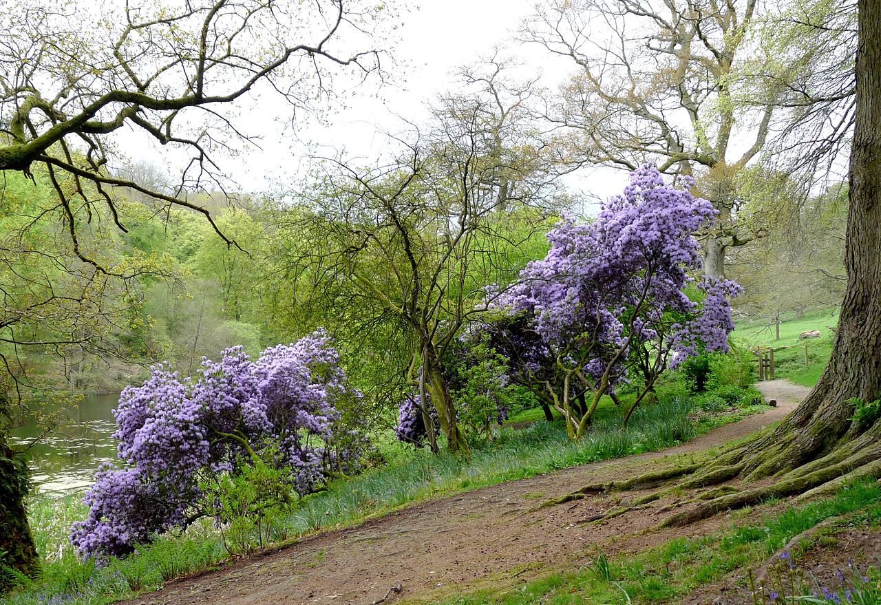 1280px-Stourhead_07_(4653105850).jpg