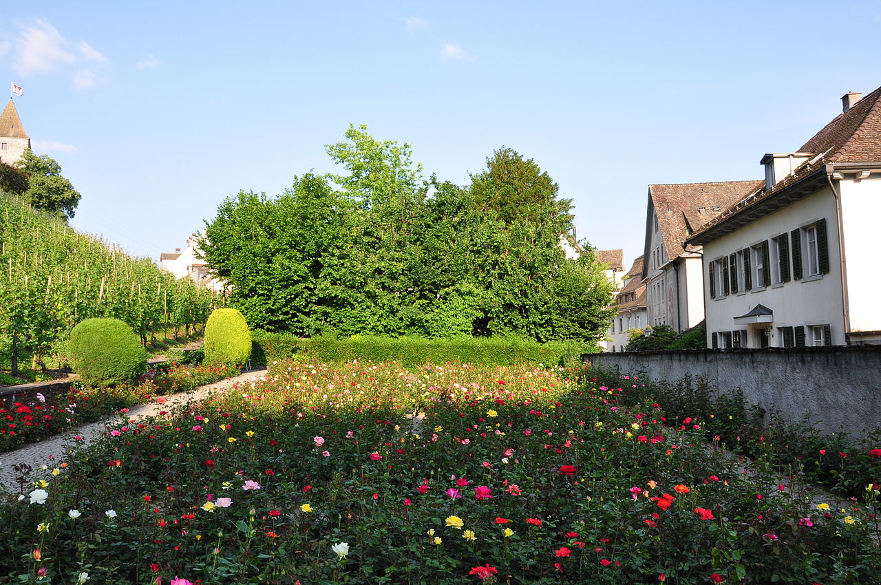 13 280px-Rapperswil_-_Rosengarten_2010-06-11_19-06-58.jpg