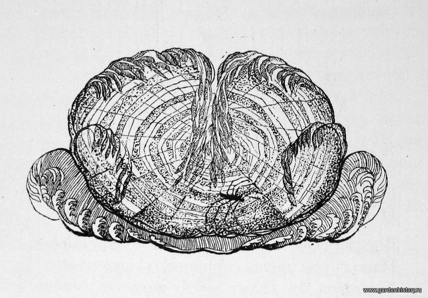 161-1354norm.jpg