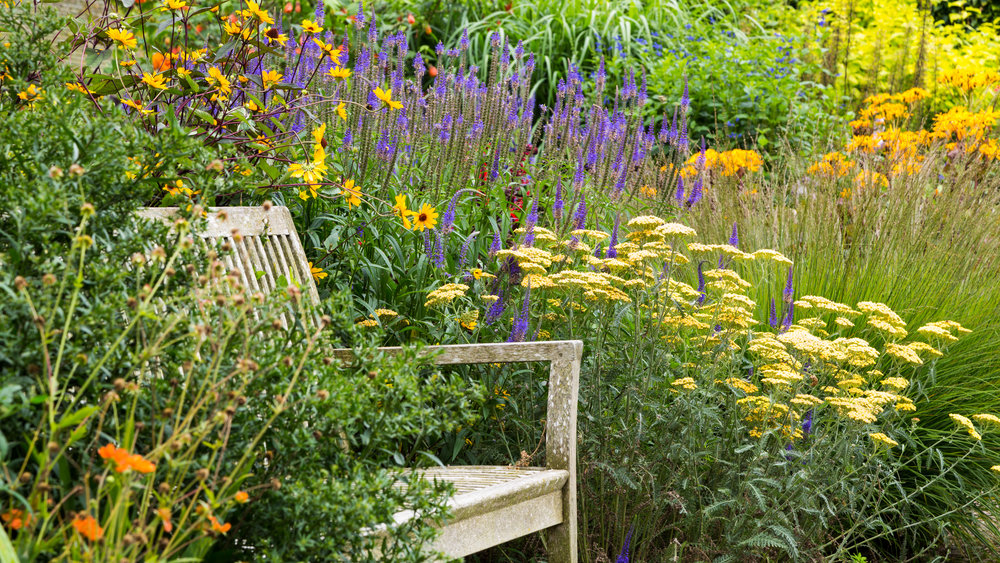 2016-358+Wollerton+Hall+Garden.jpg