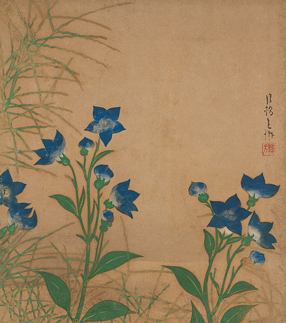 7._Bellflower.jpg