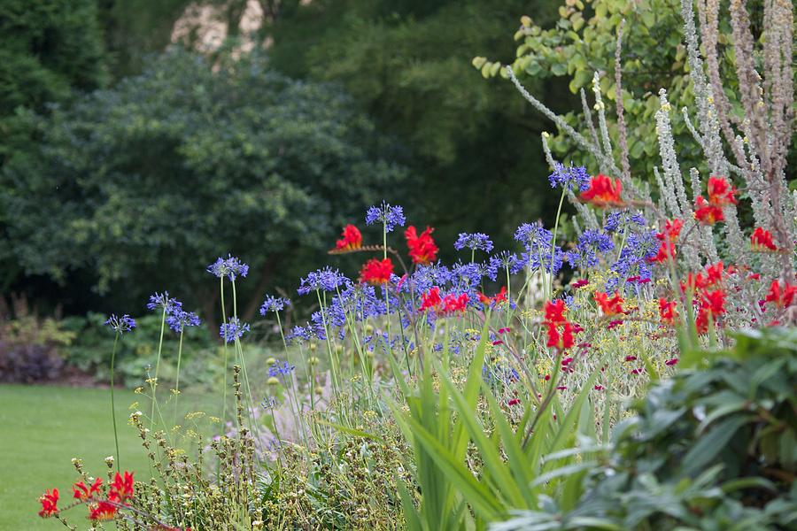 7-beth-chatto-gardens-sean-foreman.jpg