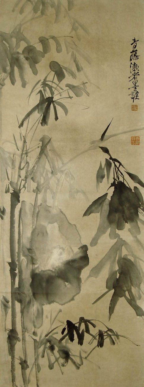 74605908_1_x.jpg