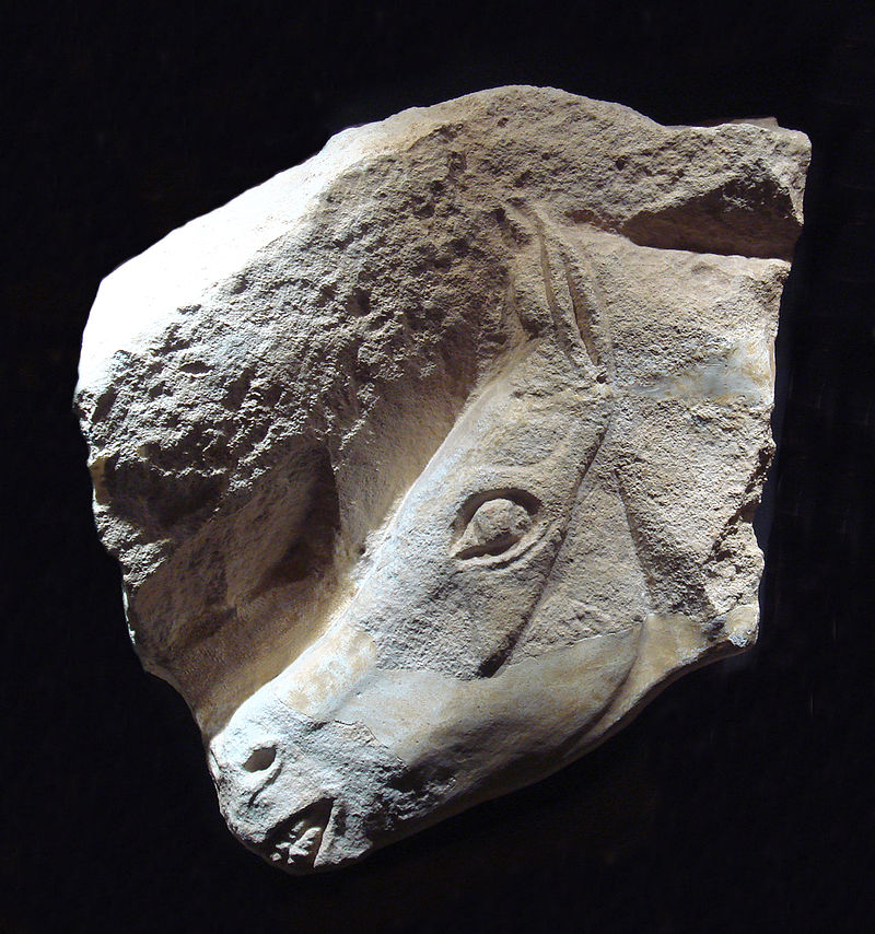 800px-Magdalenian_horse.jpg