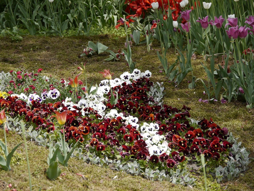 _1050059.jpg