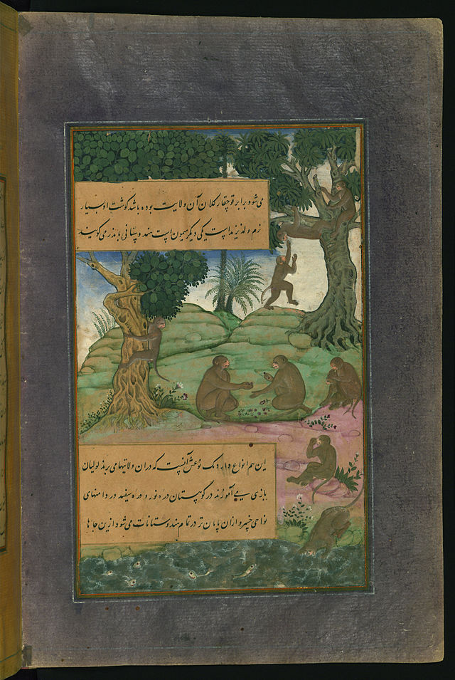 _Babur_-_Animals_of_Hindustan_-_Monkeys_Called_.jpg