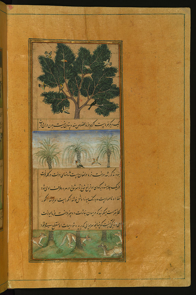 _Muhammad_Babur_-_Date_Trees_of_Full_Page.jpg