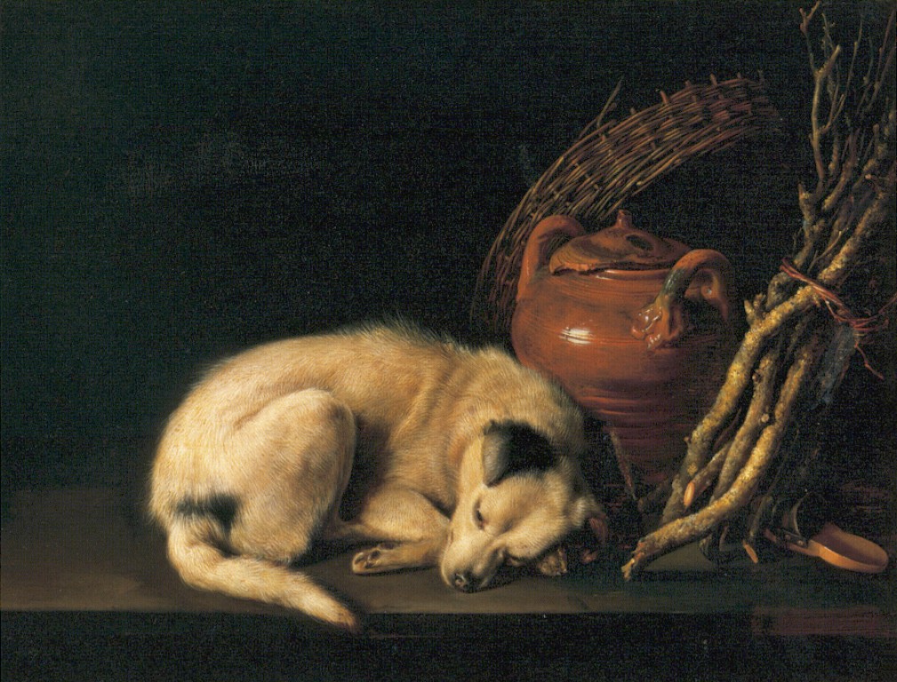 a-sleeping-dog-with-terracotta-pot-1650.jpg