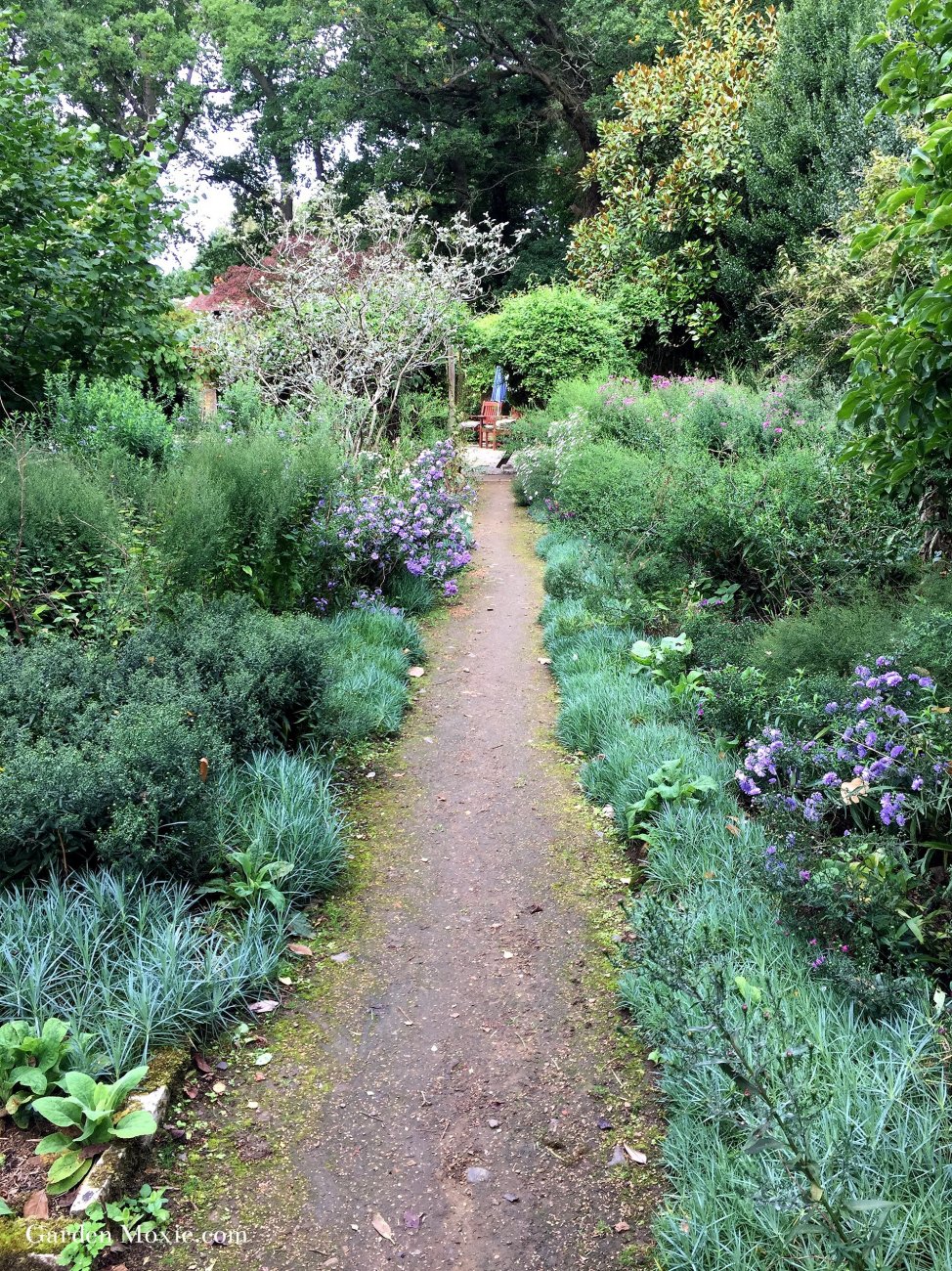 Aster-garden-1 (1).jpg