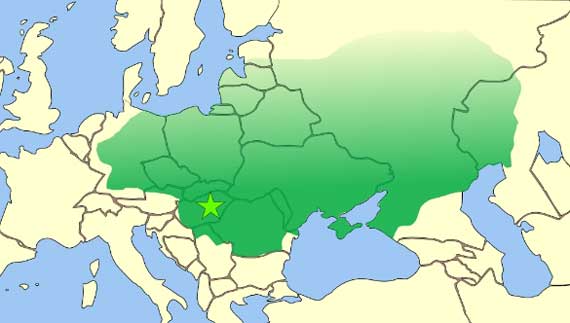 Attila.jpg