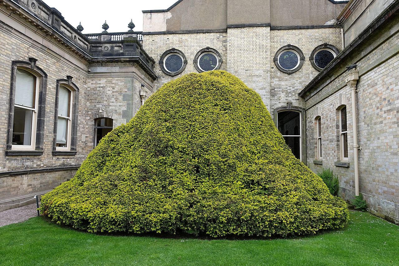 Biddulph_Grange_-_Staffordshire,_England_-_DSC09073.jpg