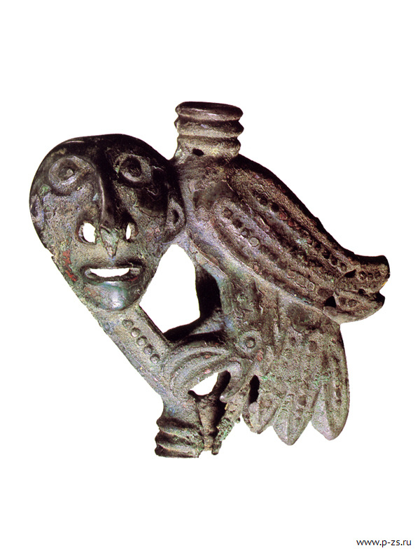 bird-22.jpg