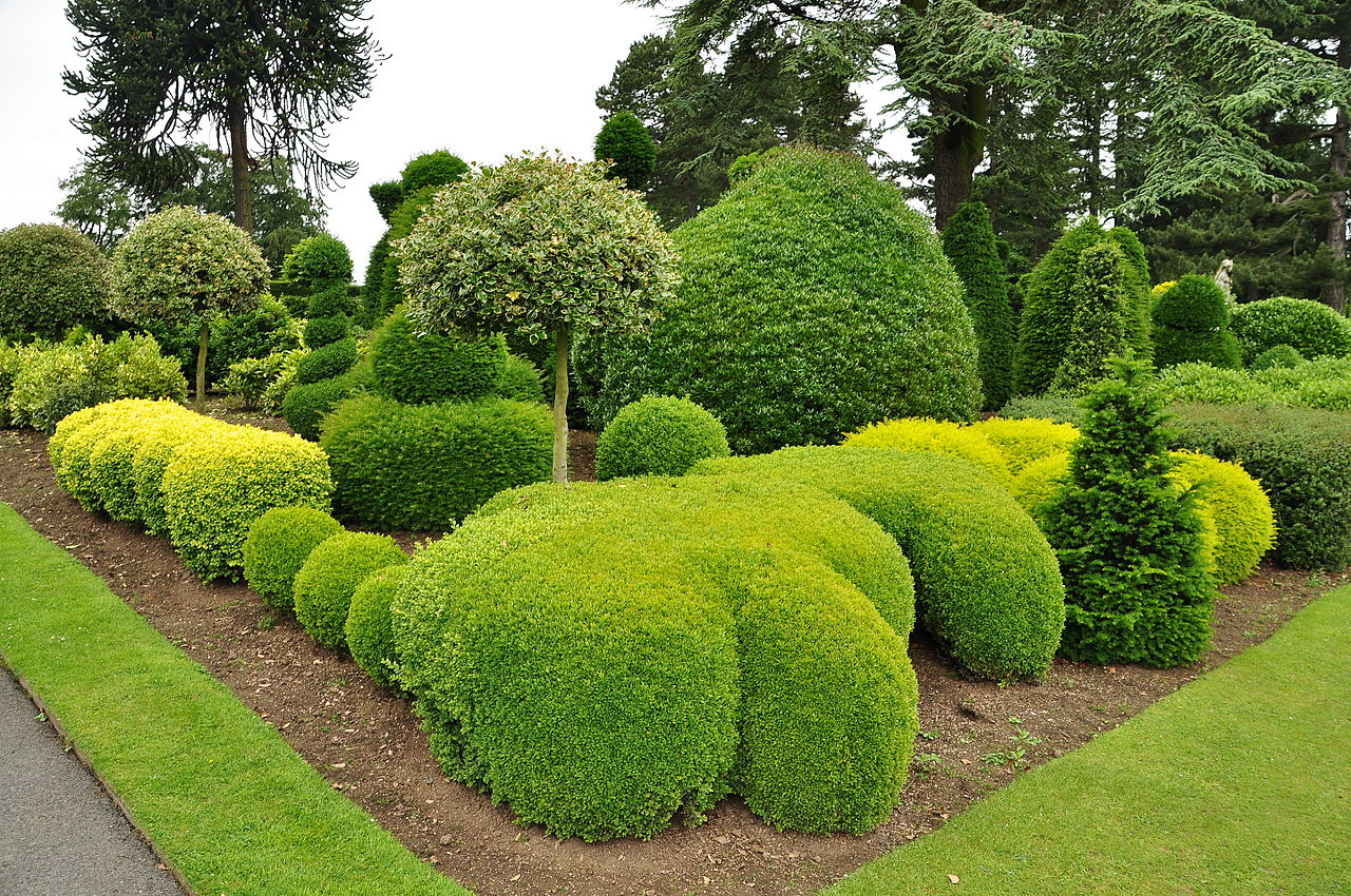 Brodsworth_Hall_gardens_(9043).jpg