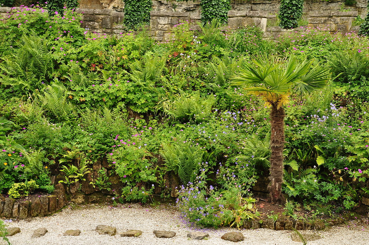Brodsworth_Hall_gardens_(9089).jpg