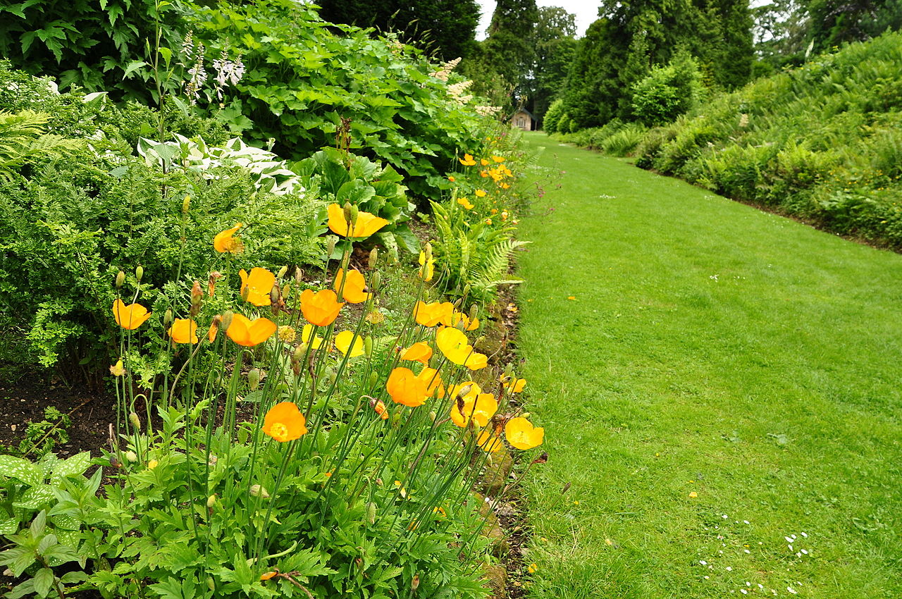 Brodsworth_Hall_gardens_(9100).jpg