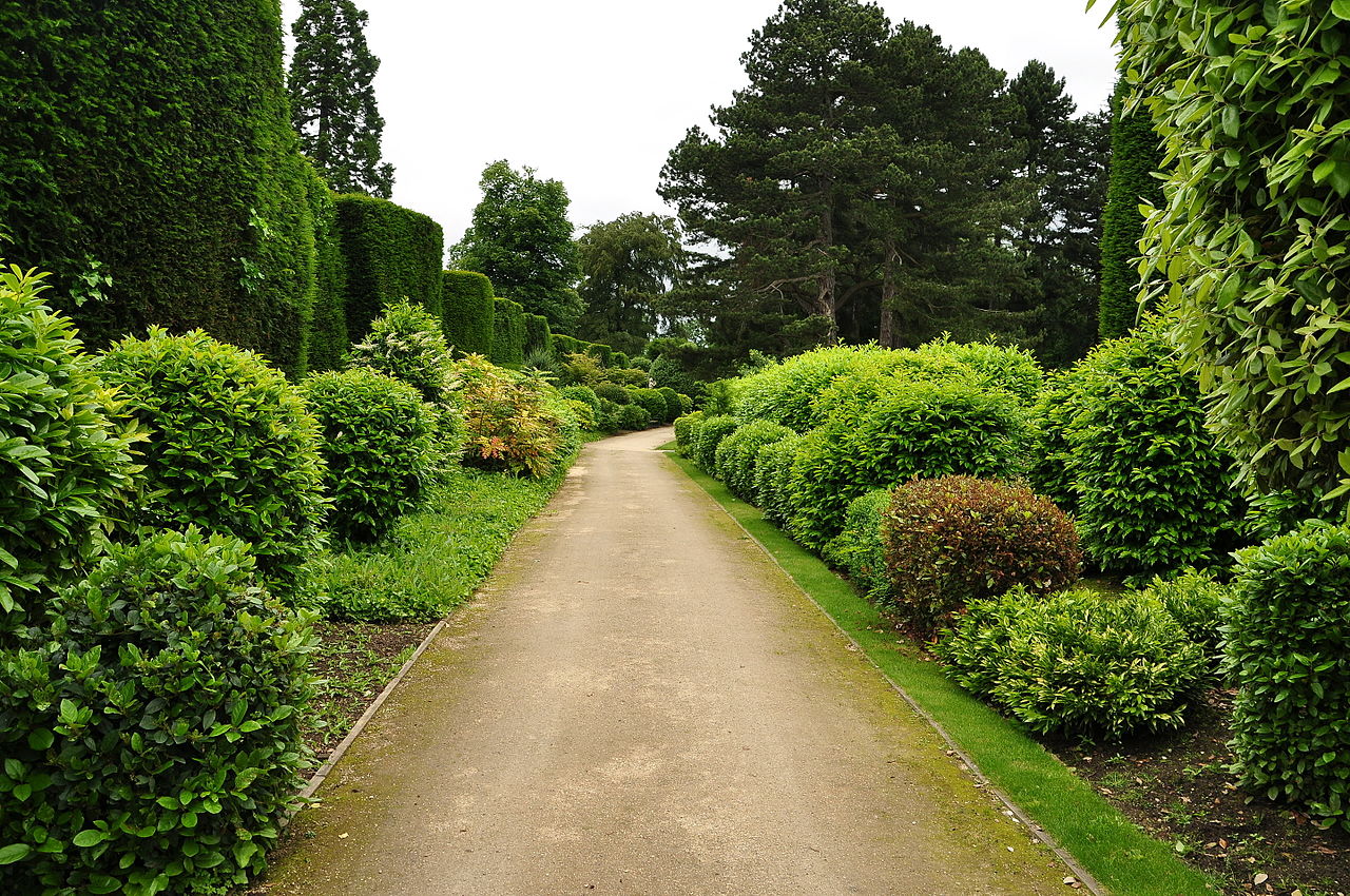 Brodsworth_Hall_gardens_(9146).jpg