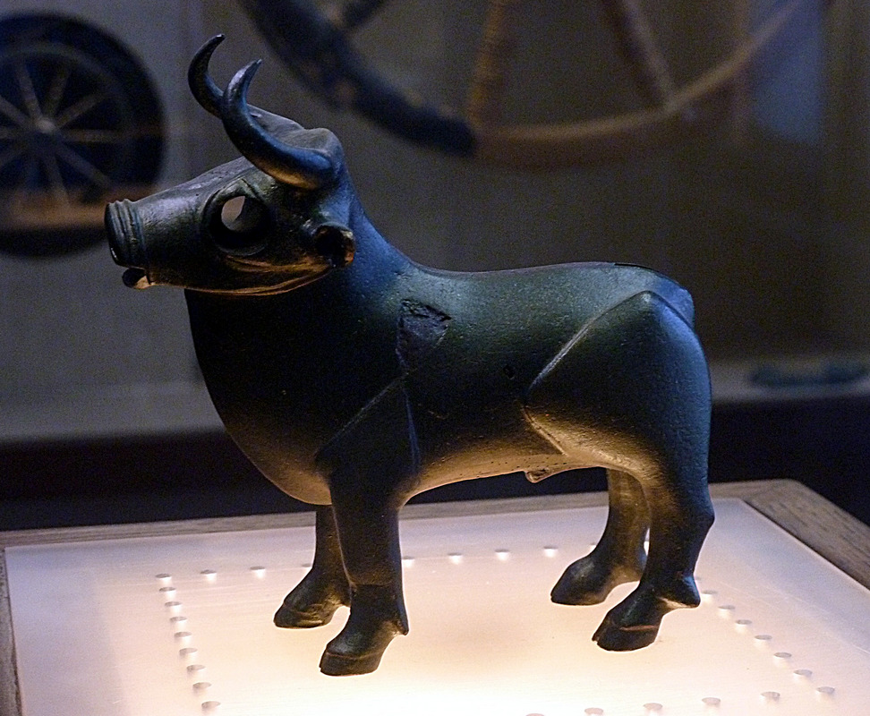Bull-0454.jpg