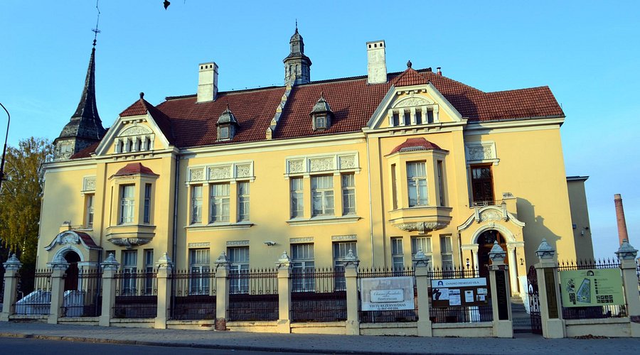 chaimas-frenkelis-vila.jpg