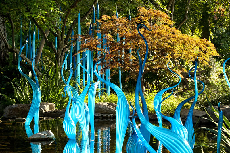 Chihuly_DallasArboretum_0016_sml.jpg
