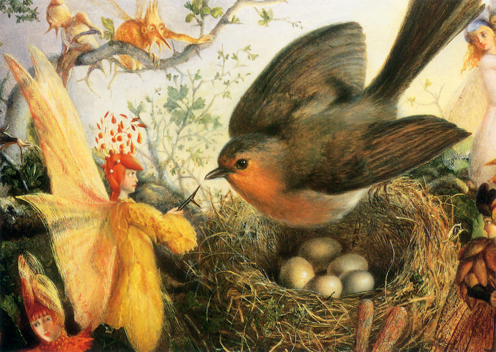 CockRobinDefendingHisNest2-vi.jpg