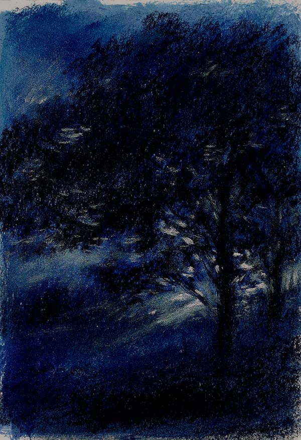 dark sky.jpg