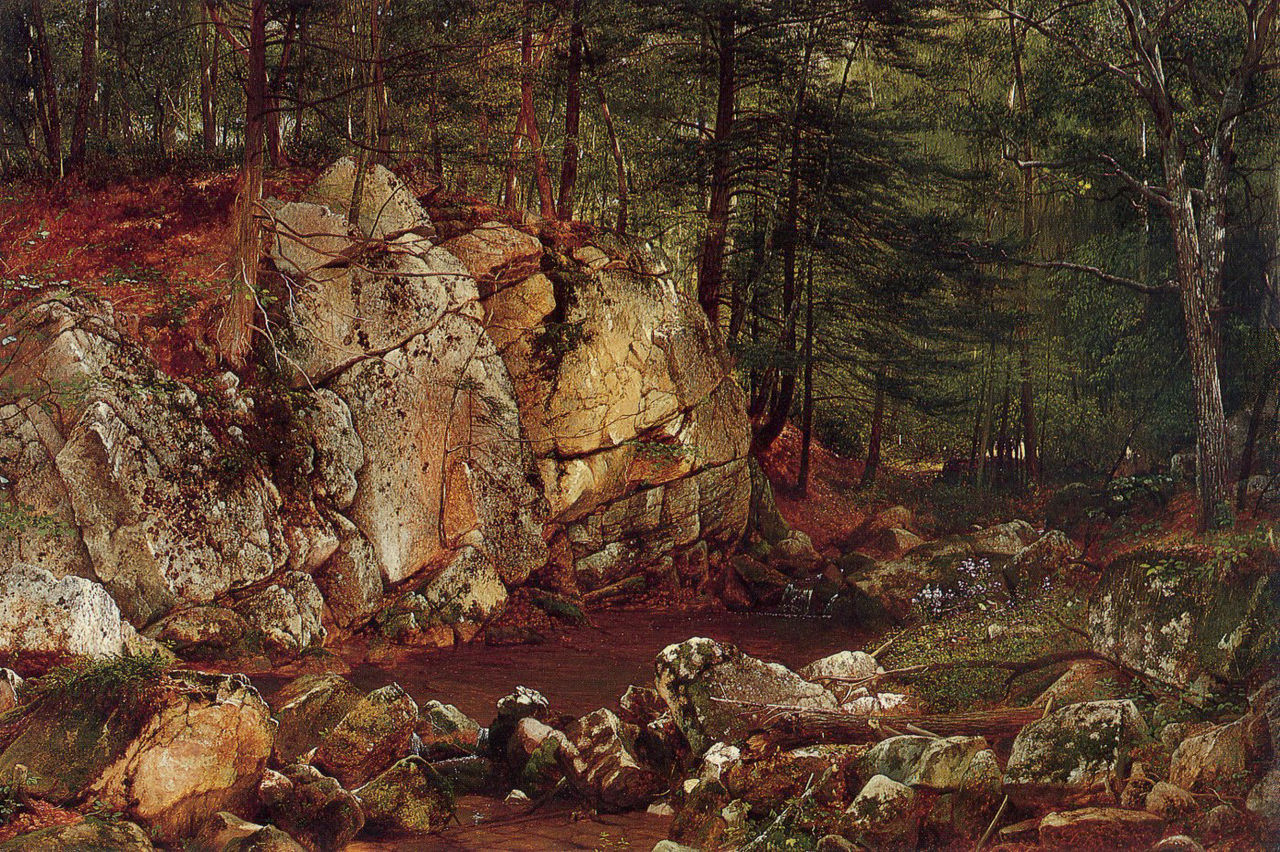 David JohnsonJohnson_Brook_Study_at_Warwick_1873.jpg