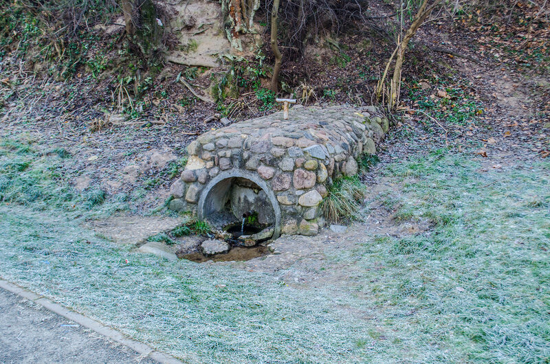 DSC_15.jpg